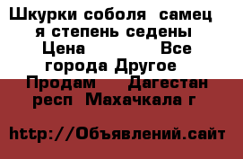 Шкурки соболя (самец) 1-я степень седены › Цена ­ 12 000 - Все города Другое » Продам   . Дагестан респ.,Махачкала г.
